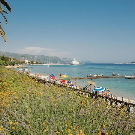 Stunning In With Wifi * Orebić